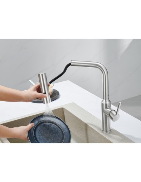 Grifo de fregadero Muras Caño Extraíble